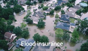 Flood Insurance: Your Defend Towards Nature’s Fury 2025