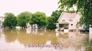 Flood Insurance: Your Defend Towards Nature’s Fury 2025