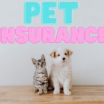 Pet Insurance: Your Furry Best Household Members In 2025
